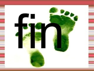 fin 