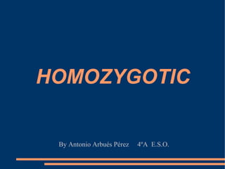 HOMOZYGOTIC


 By Antonio Arbués Pérez   4ºA E.S.O.
 
