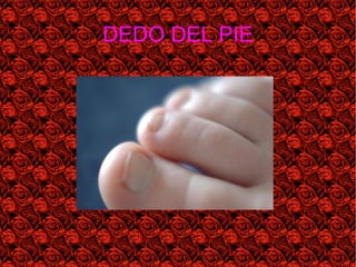 DEDO DEL PIE
 