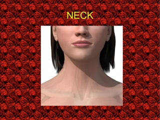 NECK
 