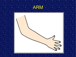 ARM
 