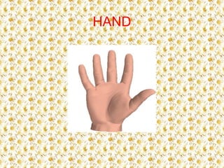 HAND
 