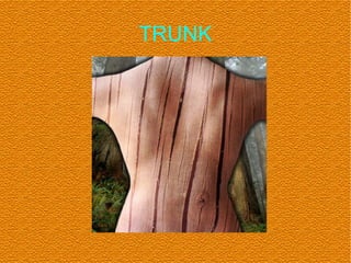 TRUNK
 