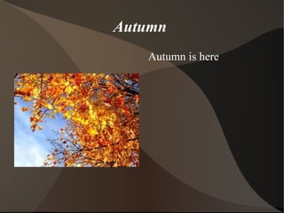 Autumn
   Autumn is here
 