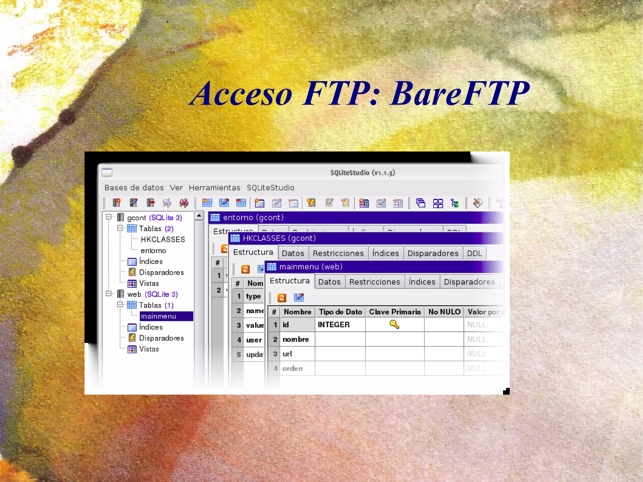 Acceso FTP: BareFTP
 