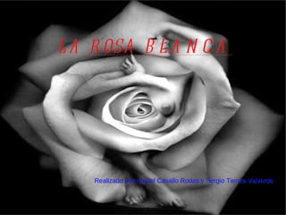 L A R OSA B L A N C A




    Realizado por:Ismael Casallo Rodas y Sergio Tienza Valverde
 