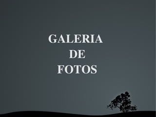 GALERIA
        DE
      FOTOS


      
 