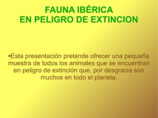 FAUNA IBÉRICA
    EN PELIGRO DE EXTINCION



Esta presentación pretende ofrecer una pequeña
●

muestra de todos los animales que se encuentran
 en peligro de extinción que, por desgracia son
           muchos en todo el planeta.
 
