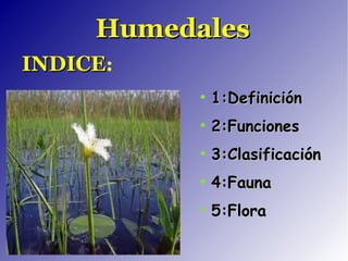 Humedales
    INDICE:
                  ●
                      1:Definición
                  ●
                      2:Funciones
                  ●
                      3:Clasificación 
                  ●
                      4:Fauna
                  ●
                      5:Flora

               
 