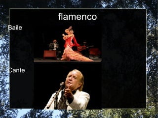 flamenco
Baile




Cante
 