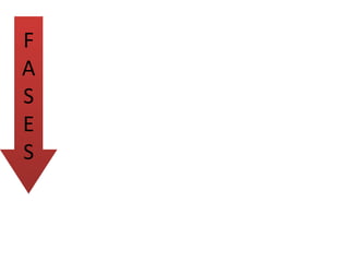 F
A
S
E
S
 