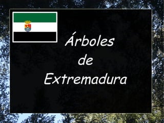 Árboles
de
Extremadura
 