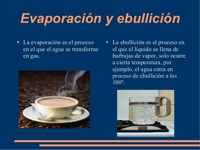 Sin título 1