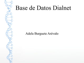 Base de Datos Dialnet 
Adela Burguete Arévalo 
 