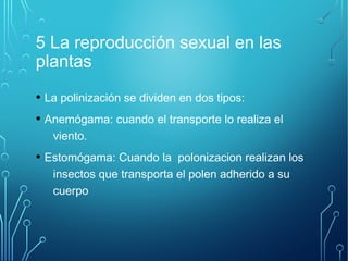 5 La reproducción sexual en las 
plantas 
• La polinización se dividen en dos tipos: 
• Anemógama: cuando el transporte lo realiza el 
viento. 
• Estomógama: Cuando la polonizacion realizan los 
insectos que transporta el polen adherido a su 
cuerpo 
 