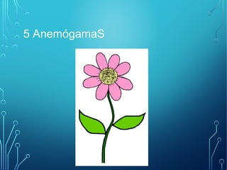5 AnemógamaS 
 