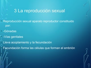 3 La reproducción sexual 
● Reproducción sexual aparato reproductor constituido 
por: 
● -Gónadas 
● -Vías genitales 
● Lleva acoplamiento y la fecundación 
● Fecundación forma las células que forman el embrión 
● 
● 
● 
 