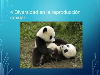 4 Diversidad en la reproducción 
sexual 
 