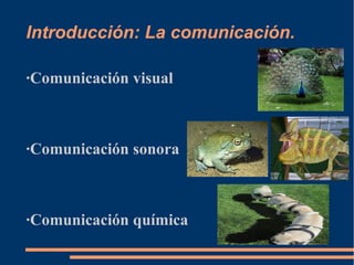 Introducción: La comunicación.
·Comunicación visual
·Comunicación sonora
·Comunicación química
 