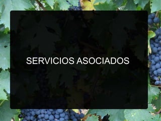SERVICIOS ASOCIADOS
-
 
