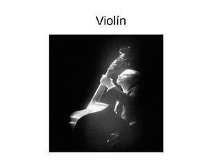 Violín