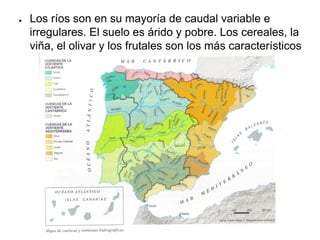 ● Los ríos son en su mayoría de caudal variable e
irregulares. El suelo es árido y pobre. Los cereales, la
viña, el olivar y los frutales son los más característicos
 