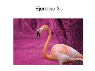 Ejercicio 3
 