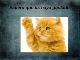 Espero que os haya gustado.

 