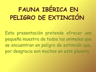 FAUNA IBÉRICA EN PELIGRO DE EXTINCIÓN  Esta presentación pretende ofrecer una pequeña muestra de todos los animales que se encuentran en peligro de extinción que, por desgracia son muchos en este planeta. 