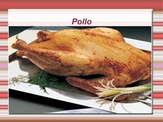 Pollo