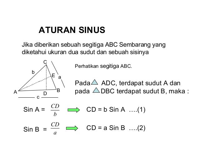 Sinus Sinus