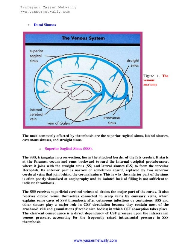 dural sinuses