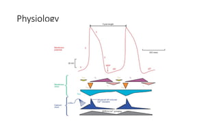 Sinus Node Dysfunction Example Comprehensive Overview of Sinus Node Dysfunction: Anatomy ...