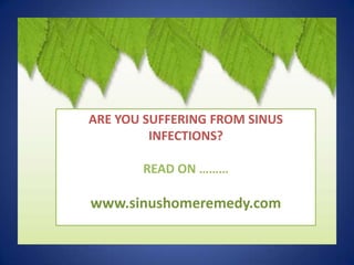 ARE YOU SUFFERING FROM SINUS INFECTIONS? READ ON ……… www.sinushomeremedy.com 