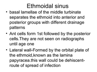 Ethmoidal sinus
• basal lamellae of the middle turbinate
separates the ethmoid into anterior and
posterior groups with different drainage
patterns
• Ant cells form 1st followed by the posterior
cells.They are not seen on radiographs
until age one
• Lateral wall-Formed by the orbital plate of
the ethmoid,known as the lamina
papyracea.this wall could be dehiscent-
route of spread of infection
 