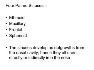 Four Paired Sinuses –
• Ethmoid
• Maxillary
• Frontal
• Sphenoid
• The sinuses develop as outgrowths from
the nasal cavity; hence they all drain
directly or indirectly into the nose
 