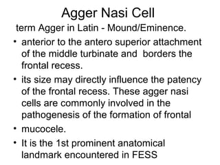 Agger Nasi Cell
term Agger in Latin - Mound/Eminence.
• anterior to the antero superior attachment
of the middle turbinate and borders the
frontal recess.
• its size may directly influence the patency
of the frontal recess. These agger nasi
cells are commonly involved in the
pathogenesis of the formation of frontal
• mucocele.
• It is the 1st prominent anatomical
landmark encountered in FESS
 