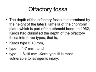 Olfactory fossa
• The depth of the olfactory fossa is determined by
the height of the lateral lamella of the cribriform
plate, which is part of the ethmoid bone. In 1962,
Keros had classified the depth of the olfactory
fossa into three types, that is,
• Keros type I: <3 mm,
• type II: 4-7 mm , and
• type III: 8-16 mm.-Kero type III is most
vulnerable to iatrogenic injury.
 