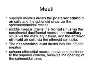 Meati
• superior meatus drains the posterior ethmoid
air cells and the sphenoid sinus via the
sphenoethmoidal recess
• middle meatus drains the frontal sinus via the
nasofrontal duct/frontal recess, the maxillary
sinus via the maxillary ostium, and the anterior
ethmoid air cells via the ethmoid cell ostia.
• The nasolacrimal duct drains into the inferior
meatus
• spheno-ethmoidal recess, above and posterior
to the superior concha, receives the opening of
the sphenoidal sinus
 