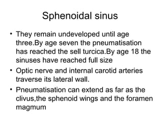 Sphenoidal sinus
• They remain undeveloped until age
three.By age seven the pneumatisation
has reached the sell turcica.By age 18 the
sinuses have reached full size
• Optic nerve and internal carotid arteries
traverse its lateral wall.
• Pneumatisation can extend as far as the
clivus,the sphenoid wings and the foramen
magmum
 