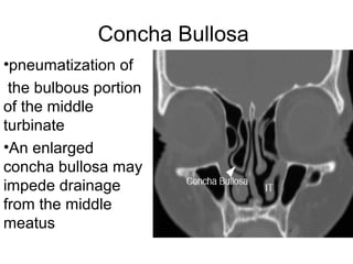 Concha Bullosa
•pneumatization of
the bulbous portion
of the middle
turbinate
•An enlarged
concha bullosa may
impede drainage
from the middle
meatus
 