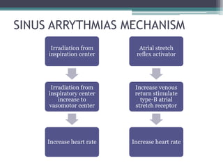 SINUS ARRYTHMIAS MECHANISM
Irradiation from
inspiration center
Irradiation from
inspiratory center
increase to
vasomotor center
Increase heart rate
Atrial stretch
reflex activator
Increase venous
return stimulate
type-B atrial
stretch receptor
Increase heart rate
 