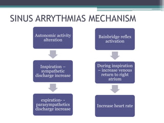 SINUS ARRYTHMIAS MECHANISM
Autonomic activity
alteration
Inspiration –
sympathetic
discharge increase
expiration- -
parasympathetics
discharge increase
Bainbridge reflex
activation
During inspiration
– increase venous
return to right
atrium
Increase heart rate
 