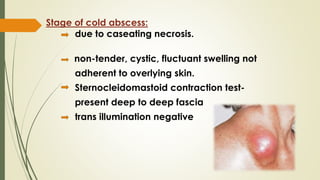 Stage of cold abscess:
due to caseating necrosis.
non-tender, cystic, fluctuant swelling not
adherent to overlying skin.
Sternocleidomastoid contraction test-
present deep to deep fascia
trans illumination negative
 