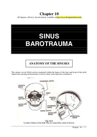 Chapter 10 — 1
Chapter 10
All chapters, full text, free download, available at http://www.divingmedicine.info
SINUS
BAROTRAUMA
ANATOMY OF THE SINUSES
The sinuses are air filled cavities contained within the bones of the base and front of the skull.
Apart from causing inconvenience to divers, their exact function is unknown.
Fig. 10.1
Location of sinuses in the skull. They are connected by canals to the nose.
 