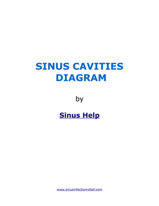 SINUS CAVITIES
   DIAGRAM

              by

    Sinus Help




   www.sinusinfectionrelief.com
 