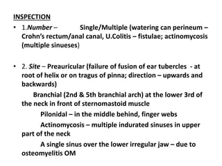 INSPECTION
• 1.Number – Single/Multiple (watering can perineum –
Crohn’s rectum/anal canal, U.Colitis – fistulae; actinomycosis
(multiple sinueses)
• 2. Site – Preauricular (failure of fusion of ear tubercles - at
root of helix or on tragus of pinna; direction – upwards and
backwards)
Branchial (2nd & 5th branchial arch) at the lower 3rd of
the neck in front of sternomastoid muscle
Pilonidal – in the middle behind, finger webs
Actinomycosis – multiple indurated sinuses in upper
part of the neck
A single sinus over the lower irregular jaw – due to
osteomyelitis OM
 