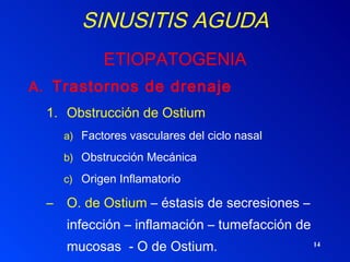 SINUSITIS AGUDA   ETIOPATOGENIA Trastornos de drenaje Obstrucción de Ostium Factores vasculares del ciclo nasal Obstrucción Mecánica  Origen Inflamatorio O. de Ostium  – éstasis de secresiones – infección – inflamación – tumefacción de mucosas  - O de Ostium.  