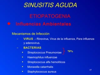 SINUSITIS AGUDA   ETIOPATOGENIA Influencias Ambientales Mecanismos de Infección  VIRUS  .-  Rinovirus, Virus de la influenza, Para influenza y adenovirus. BACTERIAS Streptococcus Pneumoniae Haemophilus influenzae Streptococcus alfa hemolíticos  Moraxella catarrhalis Staphylococcus aureus Streptococcus Beta Hemolíticos  70% 