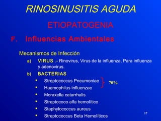 17
RINOSINUSITIS AGUDA
ETIOPATOGENIA
F. Influencias Ambientales
Mecanismos de Infección
a) VIRUS .- Rinovirus, Virus de la influenza, Para influenza
y adenovirus.
b) BACTERIAS
 Streptococcus Pneumoniae
 Haemophilus influenzae
 Moraxella catarrhalis
 Streptococo alfa hemolítico
 Staphylococcus aureus
 Streptococcus Beta Hemolíticos
70%
 